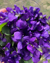 Load image into Gallery viewer, Herbal Hand Rescue