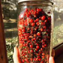 Load image into Gallery viewer, Wild Rose Lip Tint