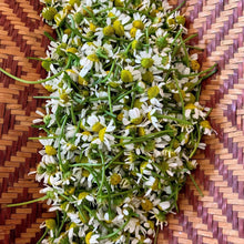 Load image into Gallery viewer, Comfrey & Chamomile Lotion Bar