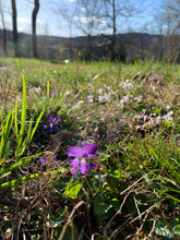 Load image into Gallery viewer, Sweet Violet Lip Butter