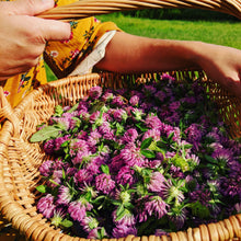 Load image into Gallery viewer, Herbal Hand Rescue