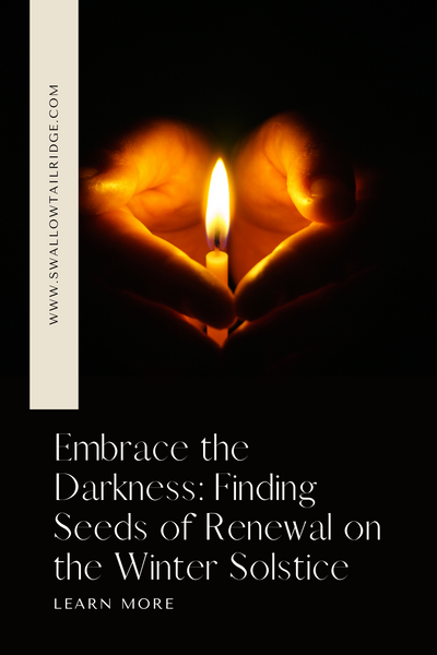 Embrace the Darkness: Finding Seeds of Renewal on the Winter Solstice