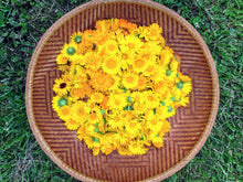 Load image into Gallery viewer, Make &amp; Take Herbal Salve Workshop

